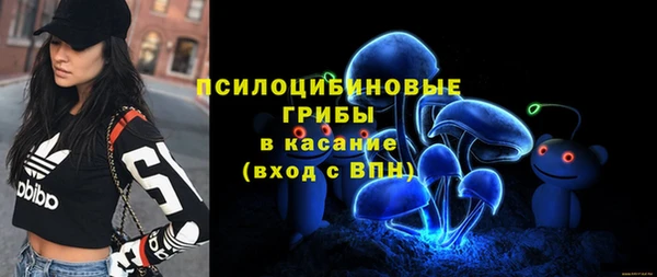 мет Белокуриха