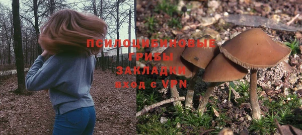 ALPHA PVP Баксан
