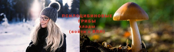 мет Белокуриха